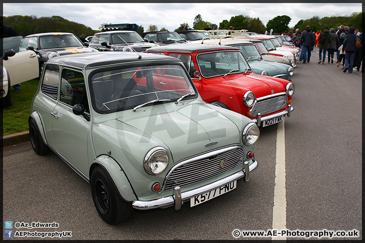 Mini_Festival_Brands_Hatch_110514_AE_104.jpg