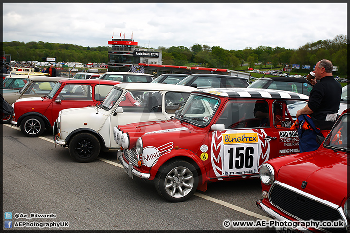 Mini_Festival_Brands_Hatch_110514_AE_105.jpg