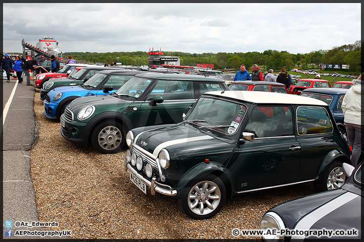 Mini_Festival_Brands_Hatch_110514_AE_109.jpg