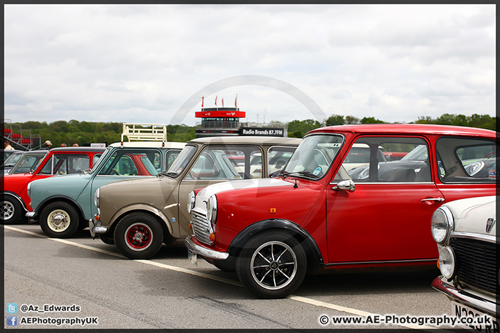 Mini_Festival_Brands_Hatch_110514_AE_111.jpg