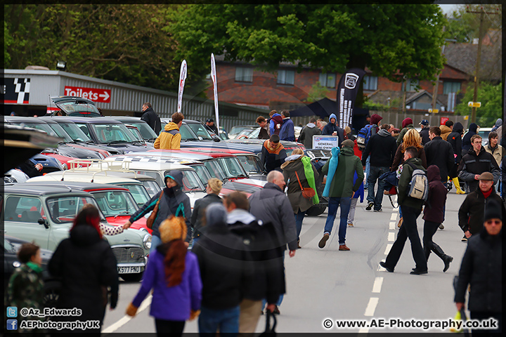 Mini_Festival_Brands_Hatch_110514_AE_113.jpg