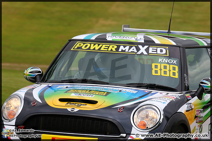 Mini_Festival_Brands_Hatch_110514_AE_162.jpg