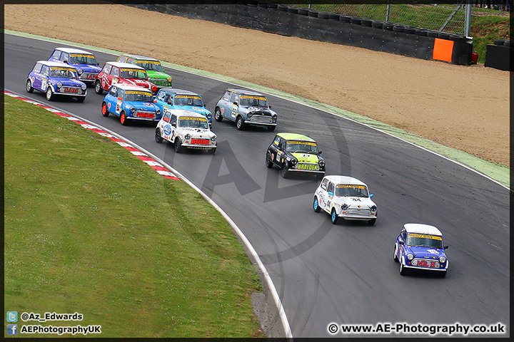 Mini_Festival_Brands_Hatch_110514_AE_163.jpg