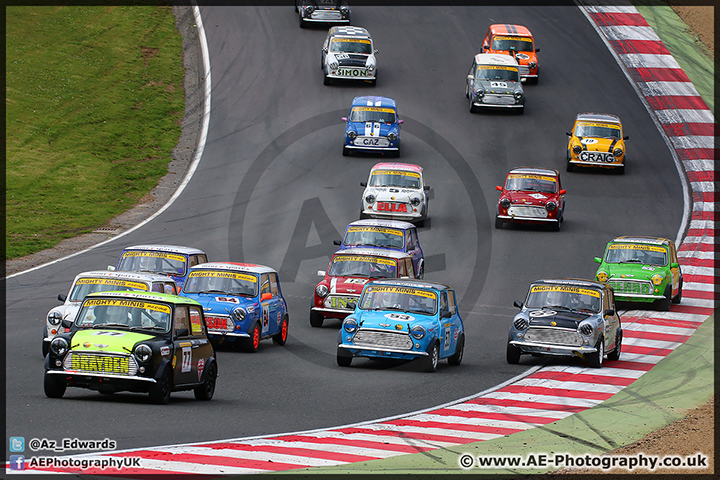 Mini_Festival_Brands_Hatch_110514_AE_165.jpg