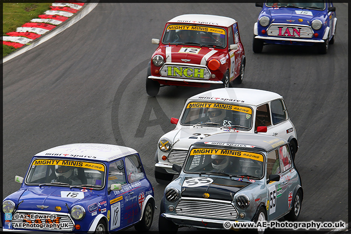 Mini_Festival_Brands_Hatch_110514_AE_170.jpg