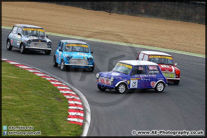 Mini_Festival_Brands_Hatch_110514_AE_177.jpg