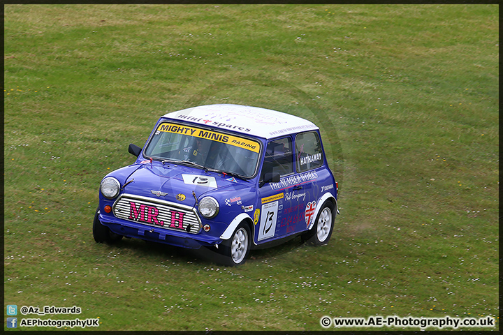 Mini_Festival_Brands_Hatch_110514_AE_178.jpg