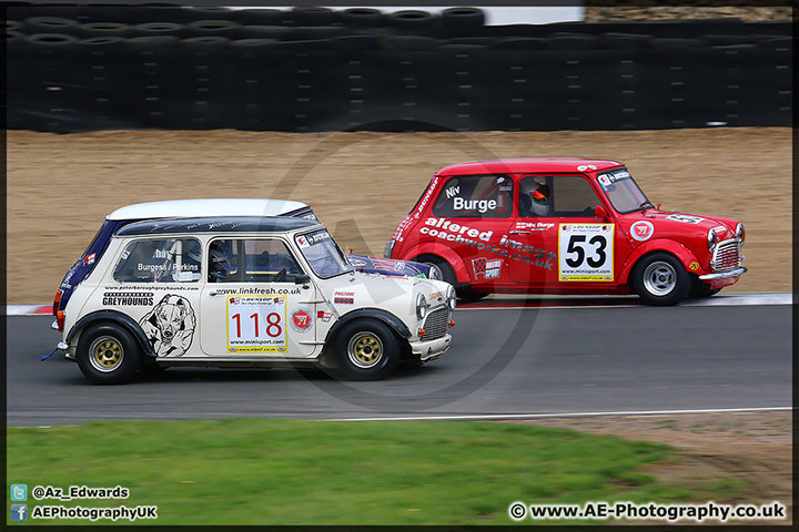 Mini_Festival_Brands_Hatch_110514_AE_179.jpg