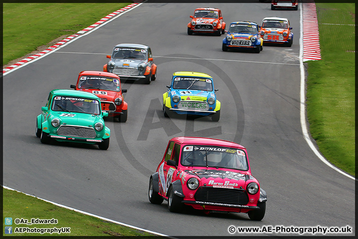 Mini_Festival_Brands_Hatch_110514_AE_183.jpg