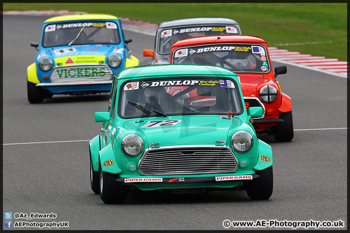 Mini_Festival_Brands_Hatch_110514_AE_188.jpg