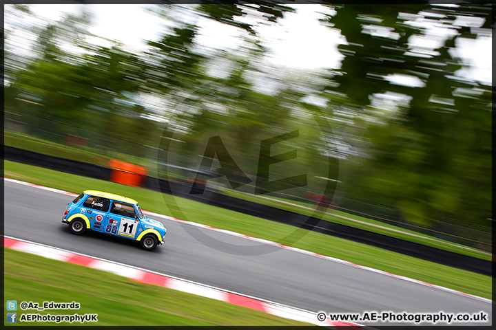 Mini_Festival_Brands_Hatch_110514_AE_189.jpg