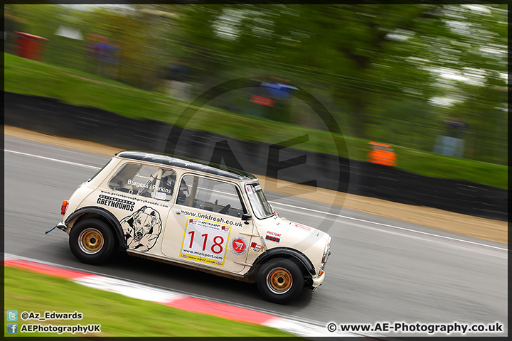 Mini_Festival_Brands_Hatch_110514_AE_192.jpg