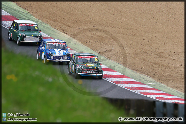 Mini_Festival_Brands_Hatch_110514_AE_194.jpg