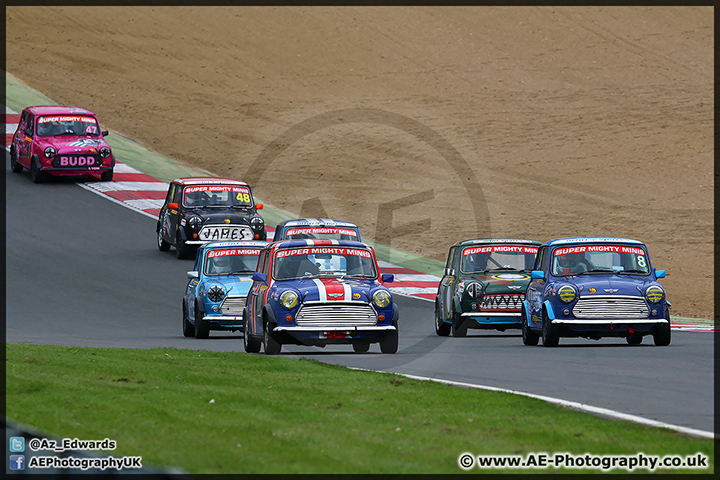 Mini_Festival_Brands_Hatch_110514_AE_195.jpg