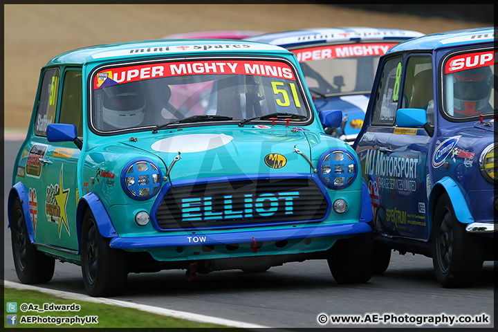 Mini_Festival_Brands_Hatch_110514_AE_197.jpg