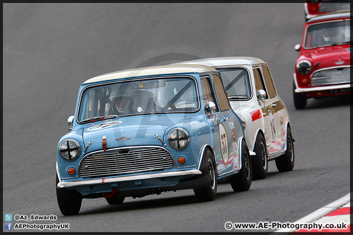 Mini_Festival_Brands_Hatch_110514_AE_204.jpg