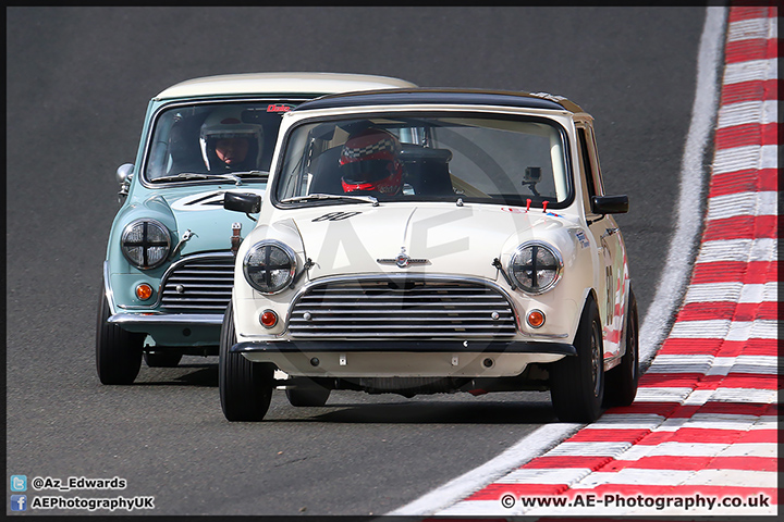 Mini_Festival_Brands_Hatch_110514_AE_205.jpg