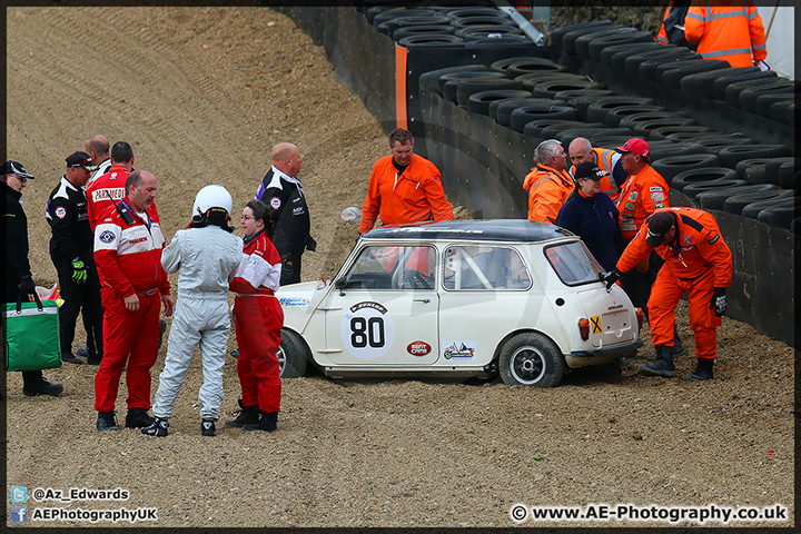 Mini_Festival_Brands_Hatch_110514_AE_209.jpg