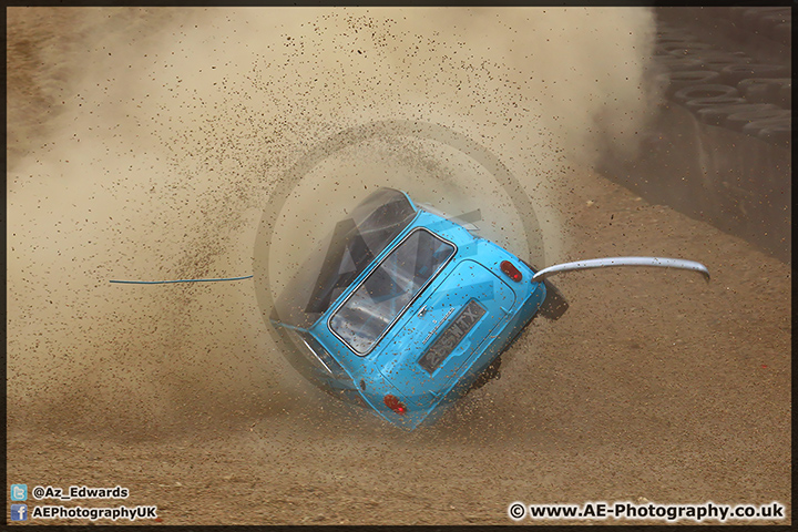 Mini_Festival_Brands_Hatch_110514_AE_214.jpg