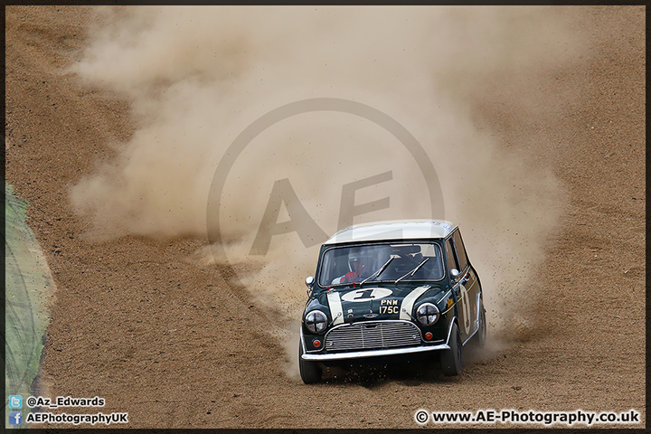 Mini_Festival_Brands_Hatch_110514_AE_228.jpg