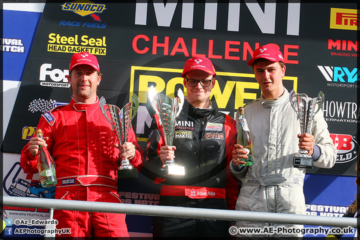 Mini_Festival_Brands_Hatch_110514_AE_246.jpg