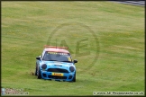 Mini_Festival_Brands_Hatch_110514_AE_008