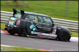 Mini_Festival_Brands_Hatch_110514_AE_031