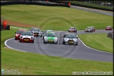 Mini_Festival_Brands_Hatch_110514_AE_039