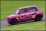 Mini_Festival_Brands_Hatch_110514_AE_070