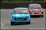 Mini_Festival_Brands_Hatch_110514_AE_075