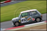 Mini_Festival_Brands_Hatch_110514_AE_172