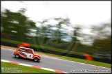 Mini_Festival_Brands_Hatch_110514_AE_190