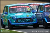 Mini_Festival_Brands_Hatch_110514_AE_197