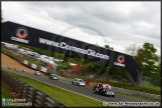 Mini_Festival_Brands_Hatch_110514_AE_198