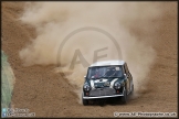 Mini_Festival_Brands_Hatch_110514_AE_228