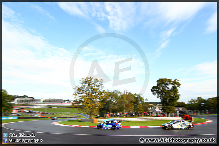 BTCC_Brands_Hatch_111014_AE_036.jpg