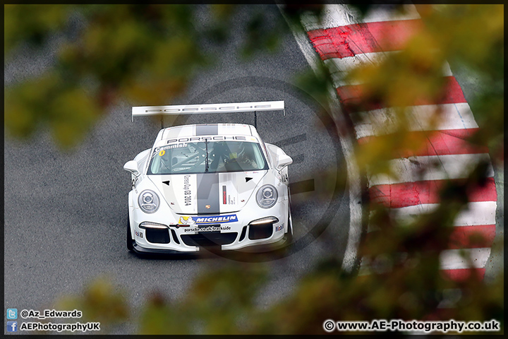 BTCC_Brands_Hatch_111014_AE_074.jpg