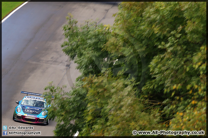 BTCC_Brands_Hatch_111014_AE_080.jpg