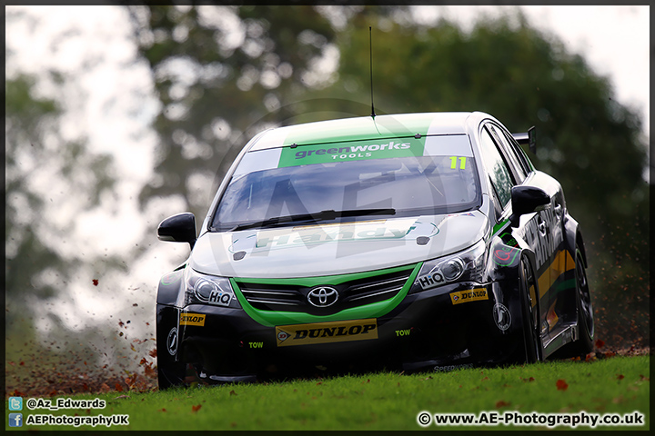 BTCC_Brands_Hatch_111014_AE_106.jpg