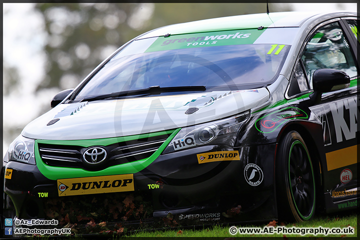 BTCC_Brands_Hatch_111014_AE_107.jpg