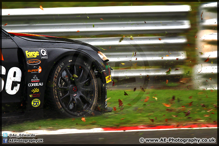 BTCC_Brands_Hatch_111014_AE_117.jpg