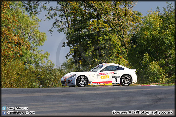 BTCC_Brands_Hatch_111014_AE_132.jpg