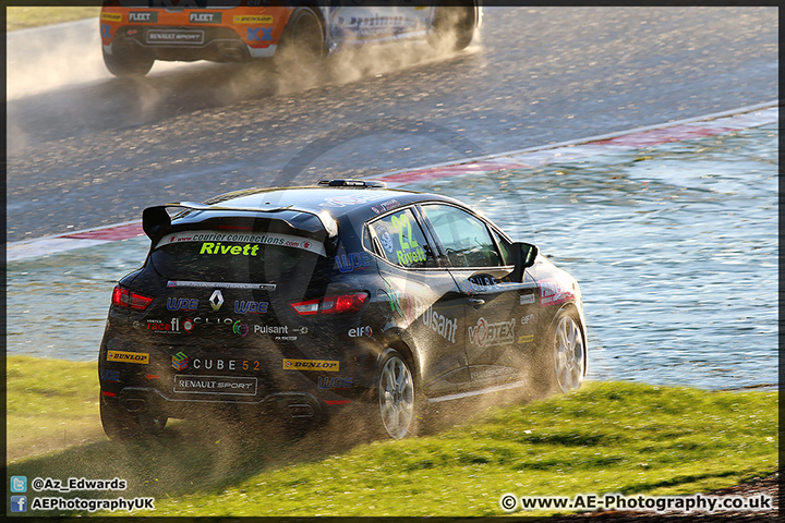 BTCC_Brands_Hatch_111014_AE_192.jpg