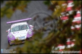 BTCC_Brands_Hatch_111014_AE_075