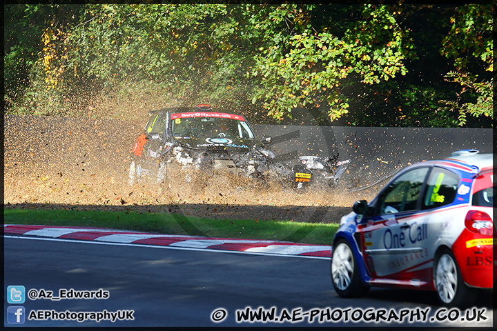 BTCC_Brands_Hatch_121013_AE_041.jpg