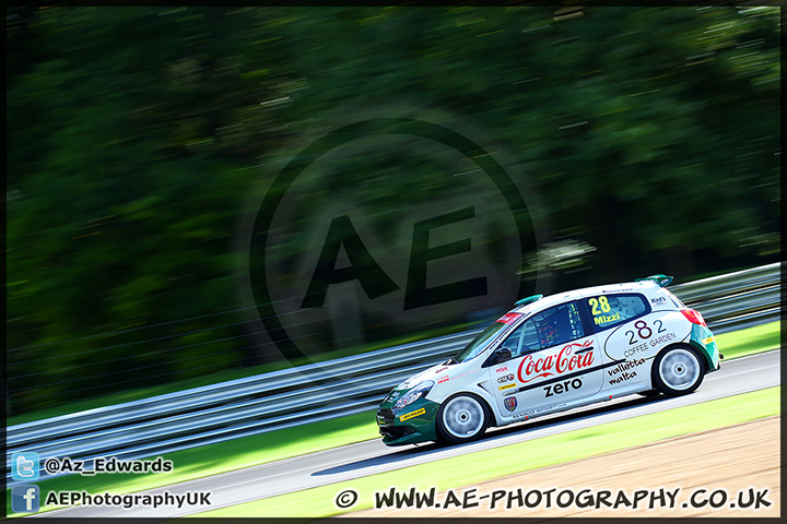 BTCC_Brands_Hatch_121013_AE_045.jpg