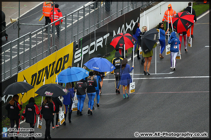 BTCC_Brands_Hatch_121014_AE_135.jpg