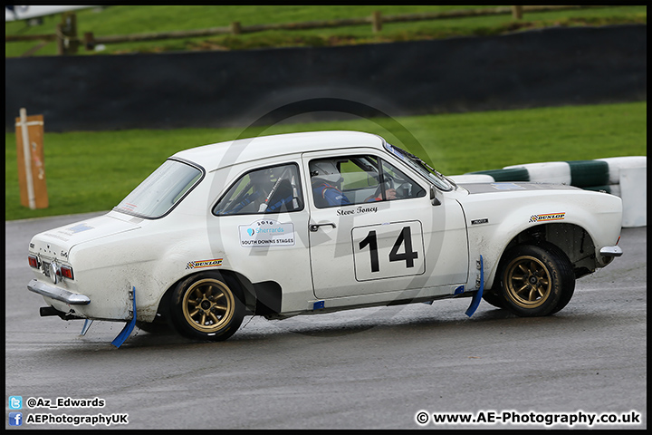 South_Downs_Rally_Goodwood_13-02-16_AE_101.jpg