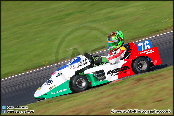 Trucks_Brands_Hatch_130414_AE_126.jpg