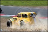 Trucks_Brands_Hatch_130414_AE_056